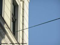 Imagine atasata: Slacklining - 2014.10.10 - 04.jpg